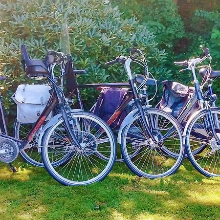 Vakantiehuis Hollum Ameland Dichtbij Strand En Met Ruime Tuin - Ameland39 Nl Εξωτερικό φωτογραφία